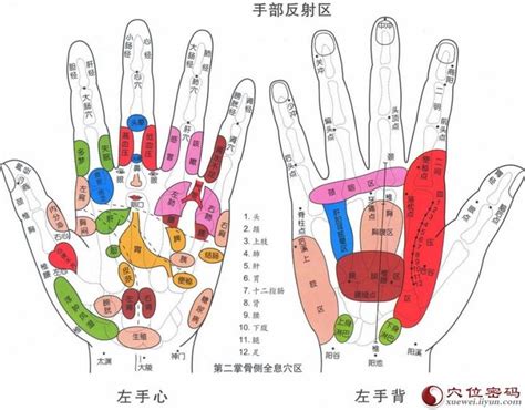 手指代表 覃中穴位